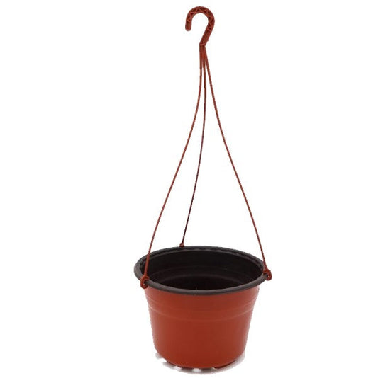 Hanging Plastic Plant Pot - www.FOP.ae Buy online Best and Healthy Plants and quality products guarantee in Dubai Plants Shop in Dubai Abu Dhabi all over UAE Plants near me Fresh Plants in Dubai where to buy plants in UAE - FOP.ae