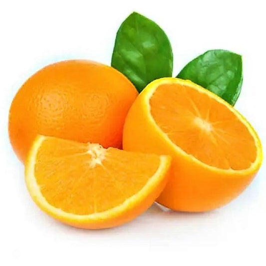 Citrus orange, Abu Surra, Orange Tree - www.FOP.ae Buy online Best and Healthy Plants and quality products guarantee in Dubai Plants Shop in Dubai Abu Dhabi all over UAE Plants near me Fresh Plants in Dubai where to buy plants in UAE - FOP.ae