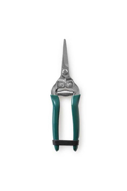 Plant Snipper - www.FOP.ae Buy online Best and Healthy Plants and quality products guarantee in Dubai Plants Shop in Dubai Abu Dhabi all over UAE Plants near me Fresh Plants in Dubai where to buy plants in UAE - FOP.ae