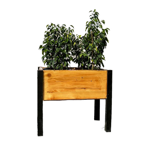 Raised Bed Wood Planter Outdoor and Indoor - www.FOP.ae Buy online Best and Healthy Plants and quality products guarantee in Dubai Plants Shop in Dubai Abu Dhabi all over UAE Plants near me Fresh Plants in Dubai where to buy plants in UAE - FOP.ae