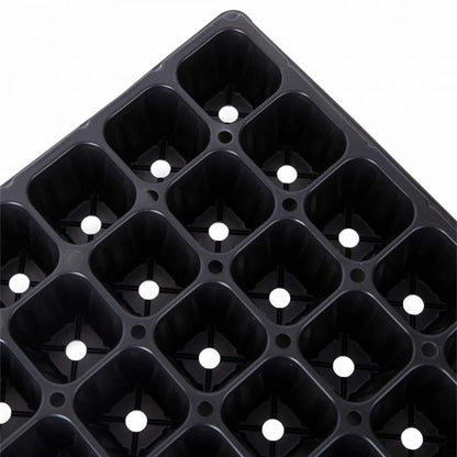 Plastic Seed Germination Tray For Hydroponic | Made in Korea - www.FOP.ae Buy online Best and Healthy Plants and quality products guarantee in Dubai Plants Shop in Dubai Abu Dhabi all over UAE Plants near me Fresh Plants in Dubai where to buy plants in UAE - FOP.ae