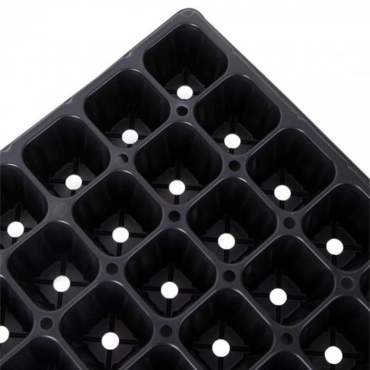 Plastic Seed Germination Tray For Hydroponic | Made in Korea - www.FOP.ae Buy online Best and Healthy Plants and quality products guarantee in Dubai Plants Shop in Dubai Abu Dhabi all over UAE Plants near me Fresh Plants in Dubai where to buy plants in UAE - FOP.ae