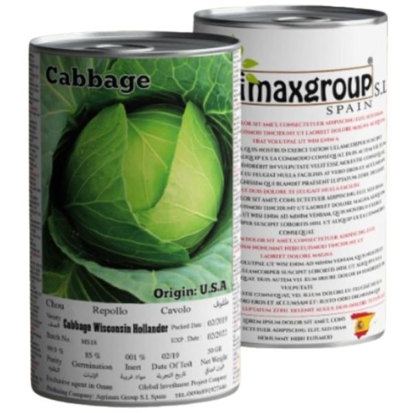 Cabbage Wisconsin Hollander Seeds Tin - www.FOP.ae Buy online Best and Healthy Plants and quality products guarantee in Dubai Plants Shop in Dubai Abu Dhabi all over UAE Plants near me Fresh Plants in Dubai where to buy plants in UAE - FOP.ae