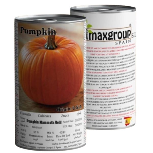 Pumpkin Mammoth Gold Seeds Tin - www.FOP.ae Buy online Best and Healthy Plants and quality products guarantee in Dubai Plants Shop in Dubai Abu Dhabi all over UAE Plants near me Fresh Plants in Dubai where to buy plants in UAE - FOP.ae