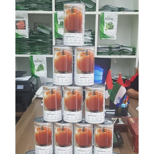 Pumpkin Mammoth Gold Seeds Tin - www.FOP.ae Buy online Best and Healthy Plants and quality products guarantee in Dubai Plants Shop in Dubai Abu Dhabi all over UAE Plants near me Fresh Plants in Dubai where to buy plants in UAE - FOP.ae