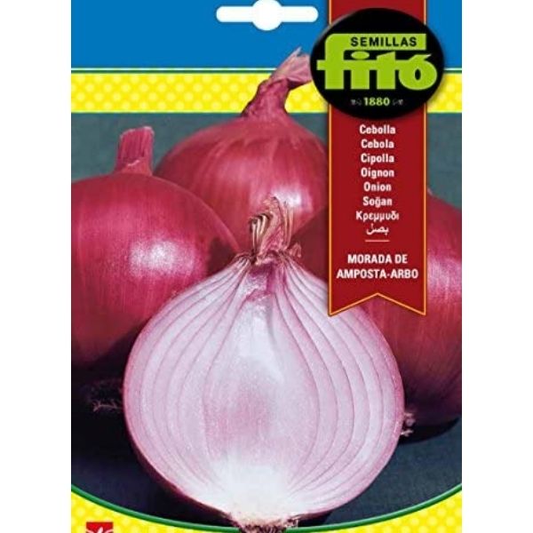 Morada de Amposta Arbo Seeds - www.FOP.ae Buy online Best and Healthy Plants and quality products guarantee in Dubai Plants Shop in Dubai Abu Dhabi all over UAE Plants near me Fresh Plants in Dubai where to buy plants in UAE - FOP.ae