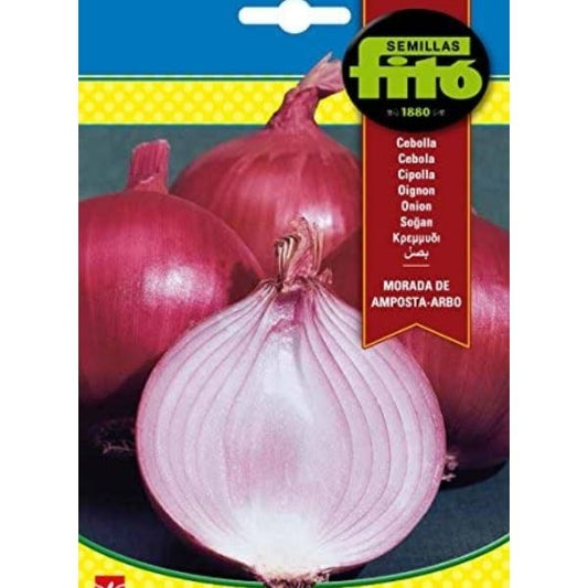 Morada de Amposta Arbo Seeds - www.FOP.ae Buy online Best and Healthy Plants and quality products guarantee in Dubai Plants Shop in Dubai Abu Dhabi all over UAE Plants near me Fresh Plants in Dubai where to buy plants in UAE - FOP.ae