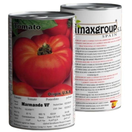 Tomato Marmande VF Seeds Tin - www.FOP.ae Buy online Best and Healthy Plants and quality products guarantee in Dubai Plants Shop in Dubai Abu Dhabi all over UAE Plants near me Fresh Plants in Dubai where to buy plants in UAE - FOP.ae