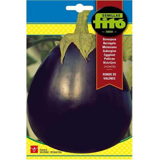Eggplant Redonda Negra Lisa Seeds - www.FOP.ae Buy online Best and Healthy Plants and quality products guarantee in Dubai Plants Shop in Dubai Abu Dhabi all over UAE Plants near me Fresh Plants in Dubai where to buy plants in UAE - FOP.ae