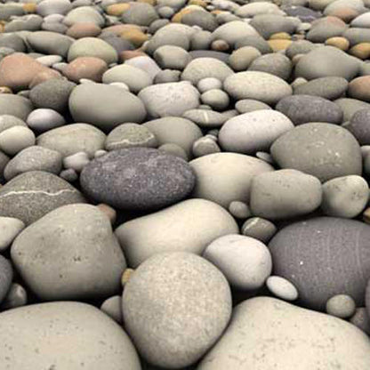 Large River Pebbles Bag - www.FOP.ae Buy online Best and Healthy Plants and quality products guarantee in Dubai Plants Shop in Dubai Abu Dhabi all over UAE Plants near me Fresh Plants in Dubai where to buy plants in UAE - FOP.ae