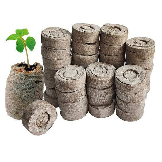 Peat Pellets or Peat Seeds Starters - www.FOP.ae Buy online Best and Healthy Plants and quality products guarantee in Dubai Plants Shop in Dubai Abu Dhabi all over UAE Plants near me Fresh Plants in Dubai where to buy plants in UAE - FOP.ae