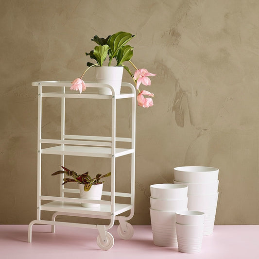 White Pot Porcelain - www.FOP.ae Buy online Best and Healthy Plants and quality products guarantee in Dubai Plants Shop in Dubai Abu Dhabi all over UAE Plants near me Fresh Plants in Dubai where to buy plants in UAE - FOP.ae